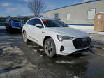 Audi e-tron 2022