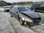 Honda Accord 2008
