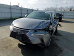 Lexus NX 2021