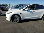 Tesla Model Y 2020