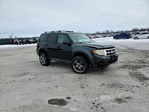 Ford Escape 2011