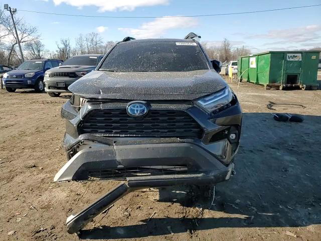 Toyota Prius 2024