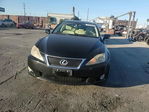 Lexus IS 2010