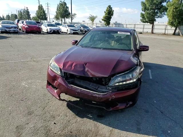 Honda Accord 2013