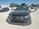 Lexus ES 2024