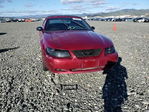 Ford Mustang 2004