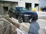 Lexus UX 2019