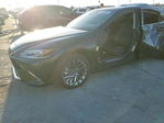 Lexus ES 2024