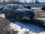 Lexus UX 2025