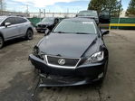 Lexus IS 2009