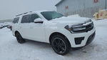 Ford Expedition 2024