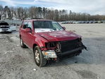 Ford Escape 2011