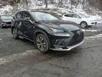 Lexus NX 2020