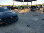 Ford Mustang 2005