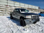 Dodge Dakota 2010