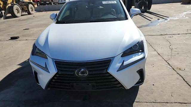 Lexus NX 2019