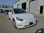 Tesla Model Y 2020