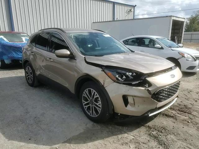 Ford Escape 2020
