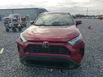 Toyota RAV 4 2024