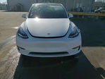 Tesla Model Y 2020