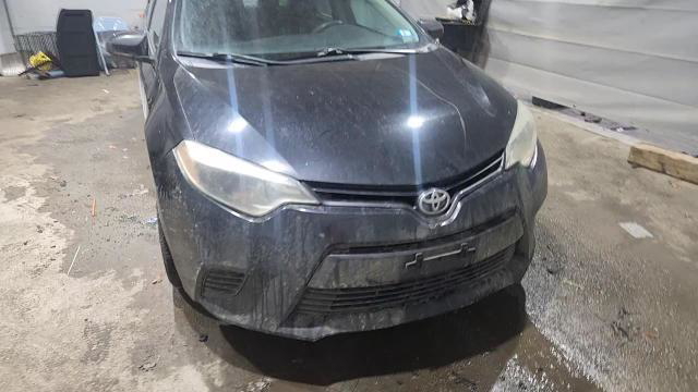 Toyota Corolla 2015