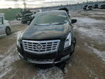 Cadillac XTS 2014