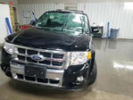 Ford Escape 2012