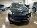 Ford Escape 2013