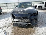 Lexus RX 2025