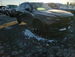Mazda CX-50 2024
