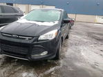 Ford Escape 2011