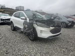 Ford Escape 2020