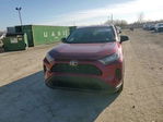 Toyota RAV 4 2021