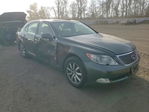 Lexus LS 2008