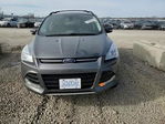 Ford Escape 2013