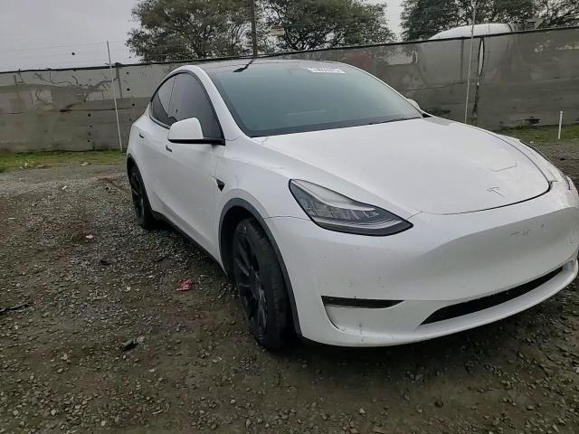 Tesla Model Y 2020