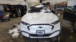 Ford Mustang Mach-E 2021