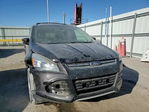 Ford Escape 2013
