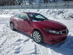 Honda Accord 2010