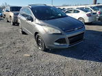 Ford Escape 2014
