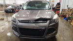 Ford Escape 2014