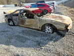 Ford Thunderbird 1995