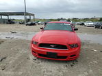 Ford Mustang 2013