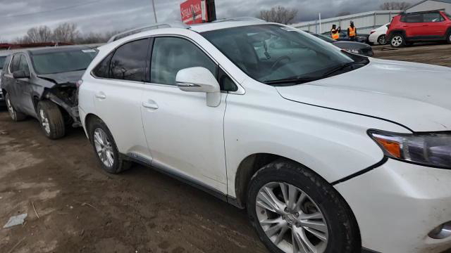Lexus RX 2010
