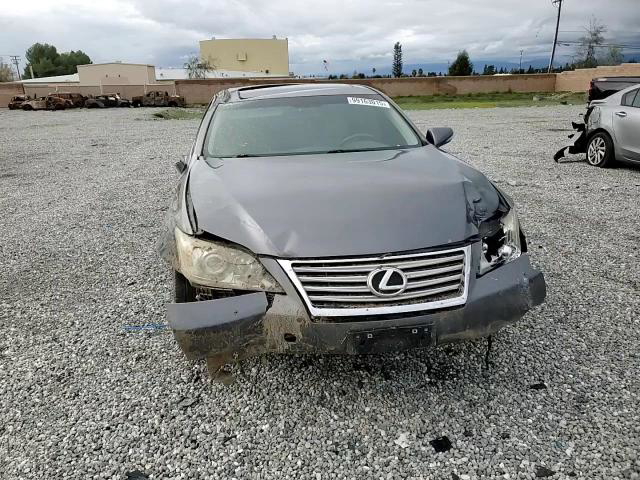 Lexus ES 2012