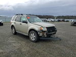 Ford Escape 2011