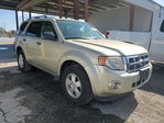 Ford Escape 2012