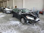 Honda Accord 2011