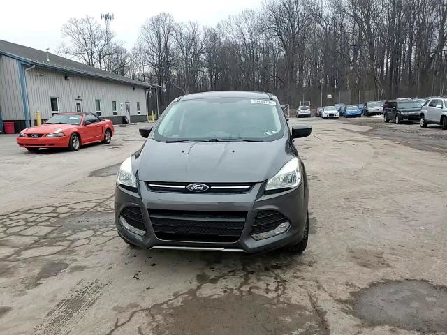 Ford Escape 2015