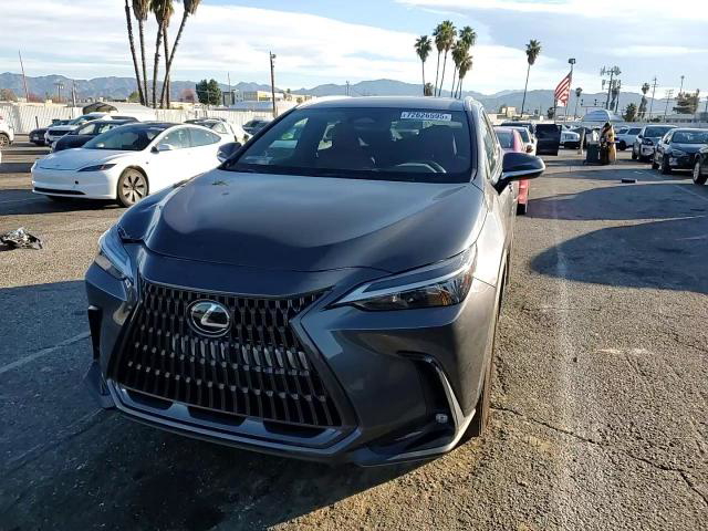 Lexus NX 2023